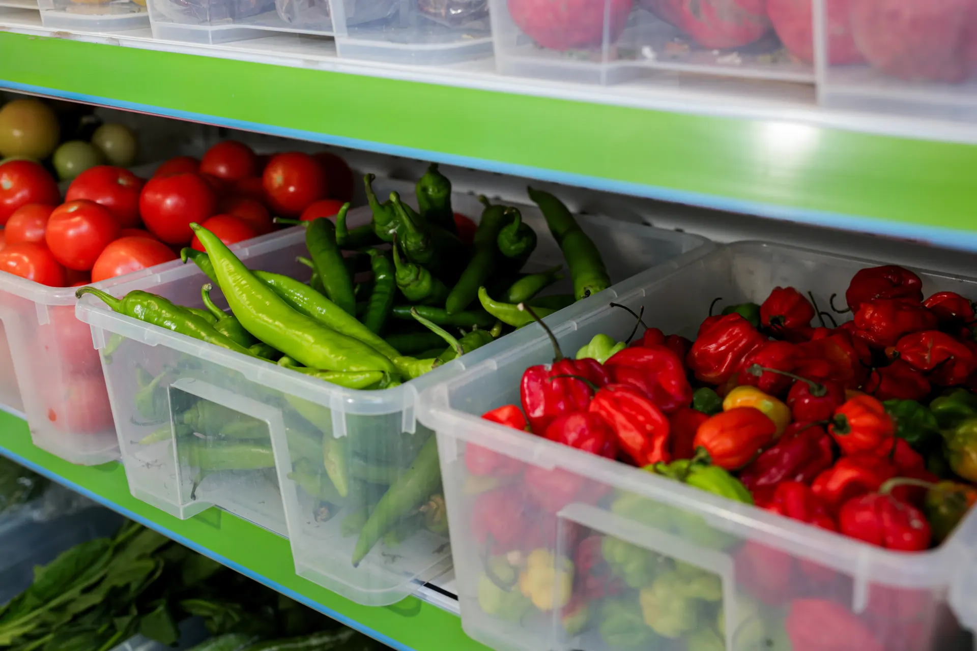 Tubs of tomatoes, long green chillies and red scotch bonnets on the veg shelves
