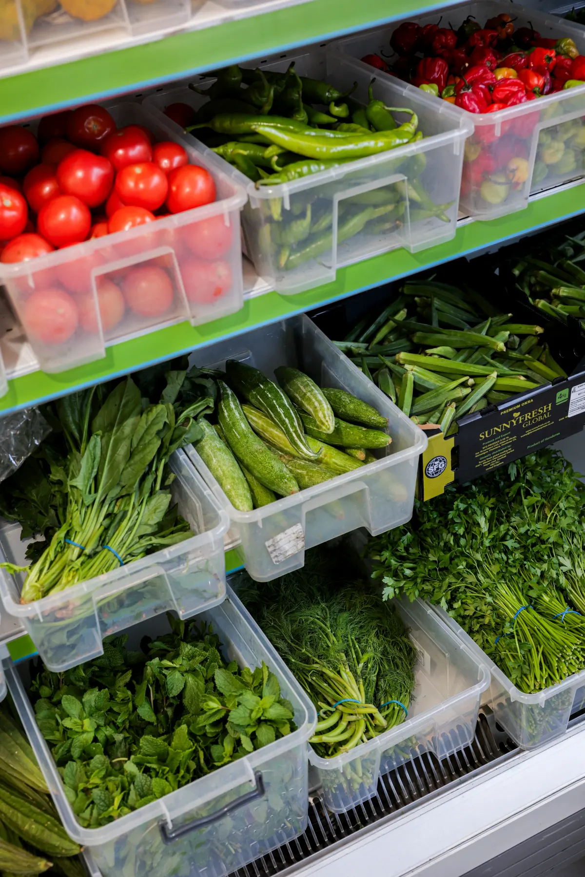 Fresh herbs, karela, okra, chillies and tomatoes in clear tubs